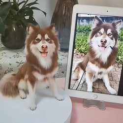 羊毛フェルト オーダー 「リアルで可愛いワンちゃん」シベリアン