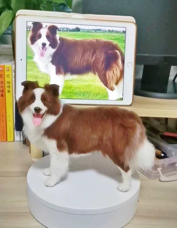 【オーダーメイドペット】羊毛フェルト、うちの子　犬ぬいぐるみ、フェルト犬、羊毛犬、肖像画、犬猫人形 プレゼントやギフトに 100% 模様