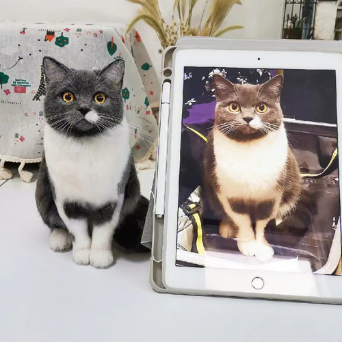 オーダーメイドペット】羊毛フェルト、うちの子 猫ぬいぐるみ オーダーメイドペット】羊毛フェルト、うちの子 猫ぬいぐるみ