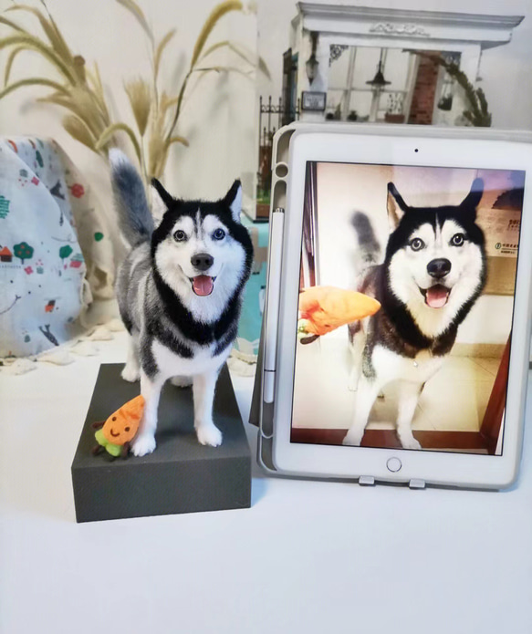 羊毛フェルト オーダー 「リアルで可愛いワンちゃん」シベリアン