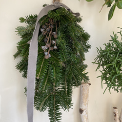 生の針葉樹たっぷり~モミの木入り~フレッシュクリスマススワッグ