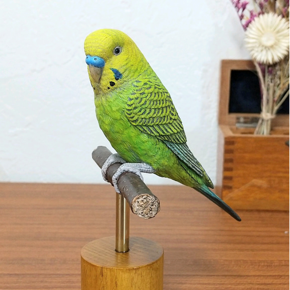Amazon.co.jp: てのりフレンズ4 セキセイインコ オパーリン＋