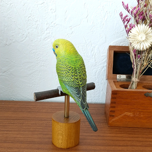 リクエストNO.2501☆セキセイインコ十姉妹4点セット ザ・セキセイインコ: セキセイインコとの楽しい暮らし方 (ペット
