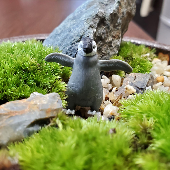 苔盆栽や枯山水と一緒に　盆景　添配　オブジェ 添景【ペンギン】 6枚目の画像