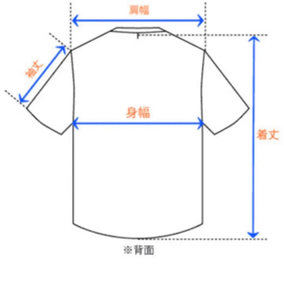  第8張的照片