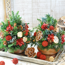 西のおかん様専用ページ✽ミニツリー2個セット✽【acacia bowl  ～Xmas tree～】 3枚目の画像