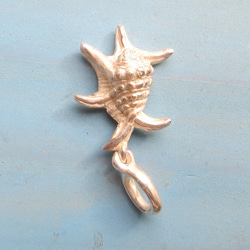 ＜＜小さなスイジガイのペンダント＞＞　銀　シルバー　貝　ダイビング　シェル 3枚目の画像
