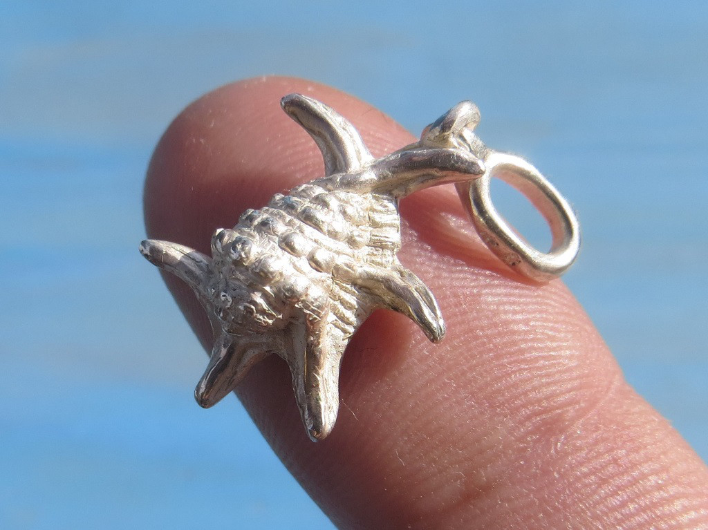 ＜＜小さなスイジガイのペンダント＞＞　銀　シルバー　貝　ダイビング　シェル