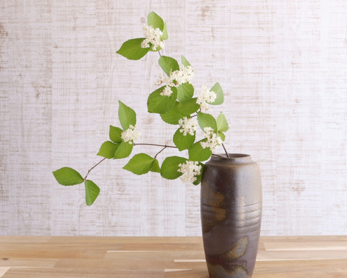 1b14ea059b1717df0132805198b048