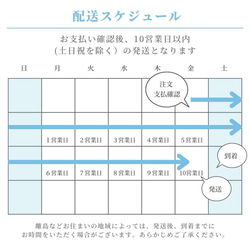 バレッタ　大きめ　お呼ばれ　おしゃれ　結婚式　ラインストーン　上品　大人かわいい　上品　キラキラ　送料無料　プレゼント 14枚目の画像