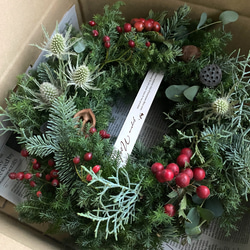 針葉樹3種をふんだんに組み合わせたクリスマスリース 2枚目の画像