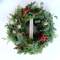 針葉樹3種をふんだんに組み合わせたクリスマスリース 1枚目の画像
