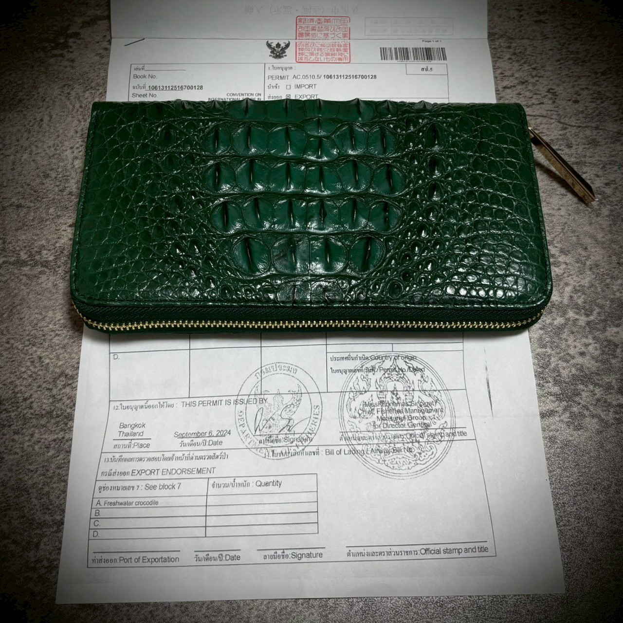 クロコダイル メンズ財布 長財布 大容量 カード２７枚 頭部 背部 グリーン 緑 ワニ革 本物証明書付き