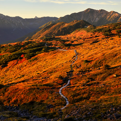 山岳風景写真 〜燃ゆる別天地〜 （北アルプス･五色ヶ原･紅葉･朝焼け･登山／送料無料） 7枚目の画像