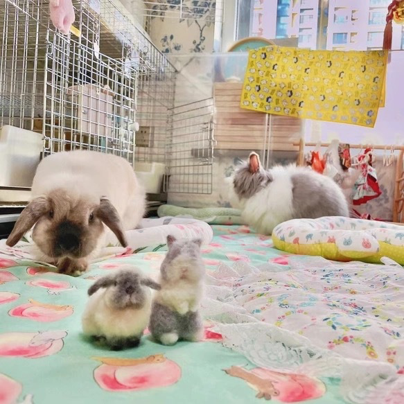 羊毛フェルト そっくり ウサギ オーダーメイド｜写真から作る ペットリアル ぬいぐるみ｜うさぎロス メモリアル レプリカ