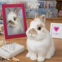 羊毛フェルト オーダー 「リアルで可愛いウサギちゃん」ぬいぐるみ