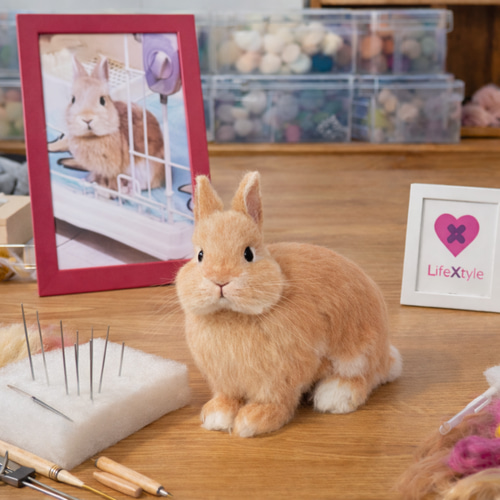 羊毛フェルト そっくり ウサギ オーダーメイド｜写真から作る ペット