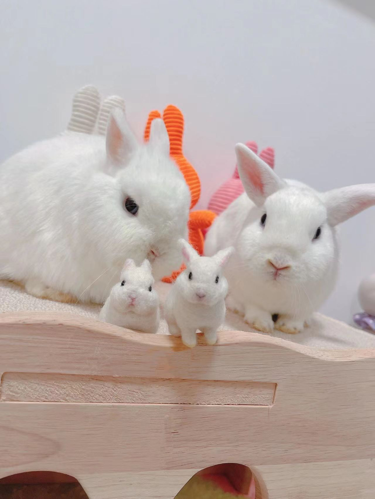 専用出品 羊毛フェルト うちのこ ハンドメイド オーダーメイド うさぎフレーム