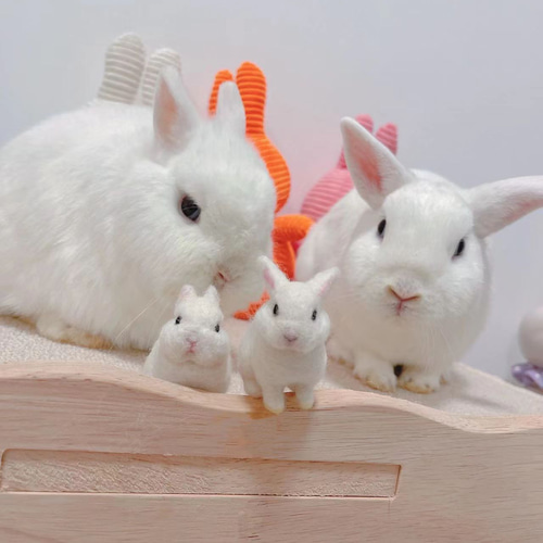 羊毛フェルトうさぎのおすすめ商品とおしゃれな実例 ｜ RoomClip