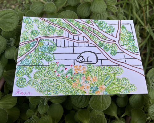 11d69d78e3d221a9e7a4f13fdcd9f9