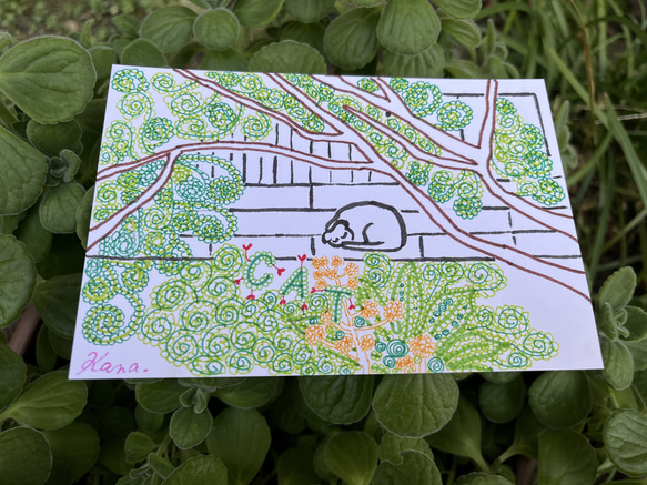 ぐるぐる巻きアート（水性サインペン・筆ペン画) イラスト 村上佳奈子