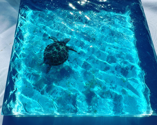 59489a6de3c6863df75e47d1d68188