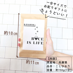 【お米のプチギフト】お年賀 産休 席札 移動 引越し お返し 挨拶 こしひかり 福結び 18枚目の画像
