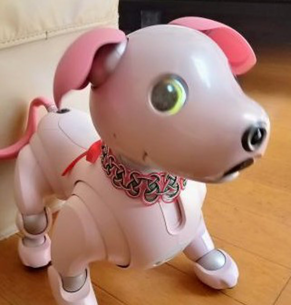 aibo　水引“Mizuhiki”製作　狗項圈　日式　聖誕節的顏色 第14張的照片