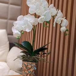 美しい！本物そっくり！ホワイト胡蝶蘭のエレガントなアレンジメント　玄関　インテリア　 1枚目の画像