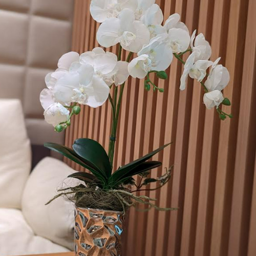 胡蝶蘭を使った、豪華な洋風アレンジメント「flower