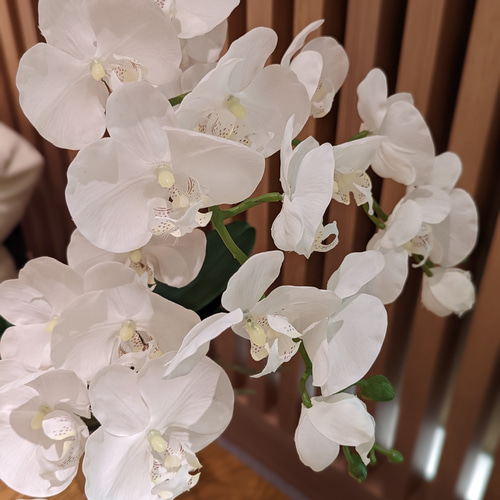 美しい！本物そっくり！ホワイト胡蝶蘭のエレガントなアレンジメント
