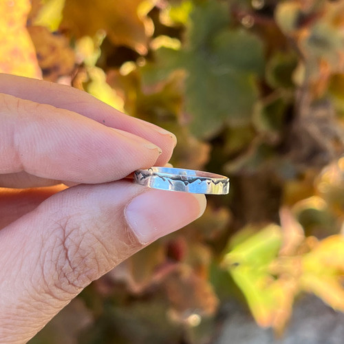 マウンテンリング 山リング 鈴鹿山脈 セブンマウンテンリング シルバー