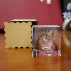 ペットメ モリアル キューブ　写真とメッセージを印刷する小さなキューブ型 ペット位牌 モニュメント 2枚目の画像