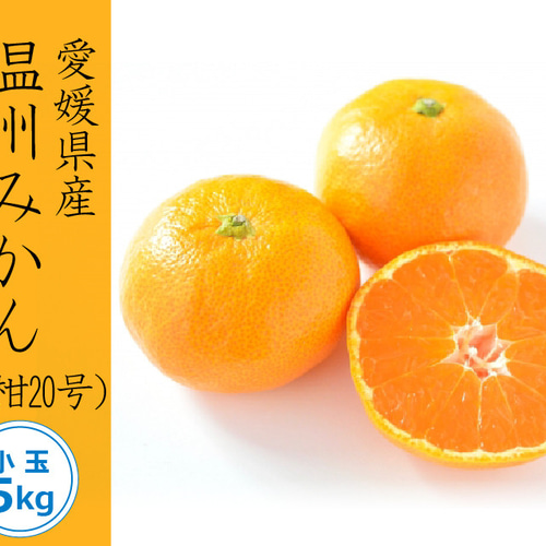 名作 予約商品※【送料無料】温州みかん（南柑20号）〈小玉〉約5kg 果物
