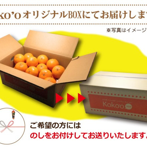 cc0a1090efb5332f9ec2448c789bc1