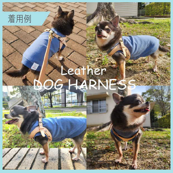 本革　手縫いワンちゃんハーネス　ネイビー　小型犬用　HN-1/LNA 9枚目の画像