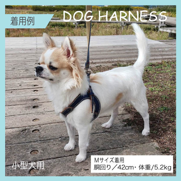 本革　手縫いワンちゃんハーネス　ネイビー　小型犬用　HN-1/LNA 4枚目の画像