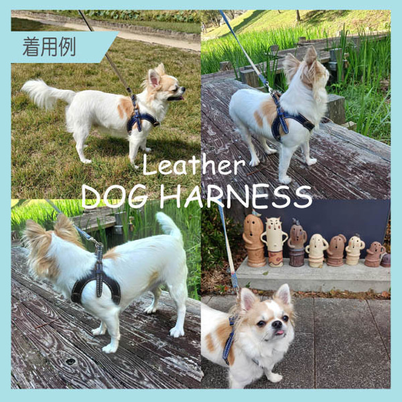 本革　手縫いワンちゃんハーネス　ネイビー　小型犬用　HN-1/LNA 5枚目の画像