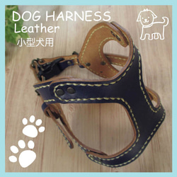 本革　手縫いワンちゃんハーネス　ネイビー　小型犬用　HN-1/LNA 3枚目の画像