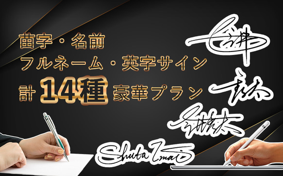 14種類サイン、苗字＋名前＋フルネーム＋英字にて制作！署名設計、世界に一つだけのオーダーメイドサインをデザイン！ 14種類サイン、苗字＋名前＋フルネーム＋英字にて制作！署名設計、世界に一つだけのオーダーメイドサインをデザイン！ W1506804848(11570円)