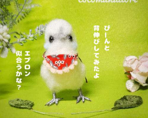 羊毛フェルト うこっけいちゃん 羊毛フェルト coco-むく鳥 通販