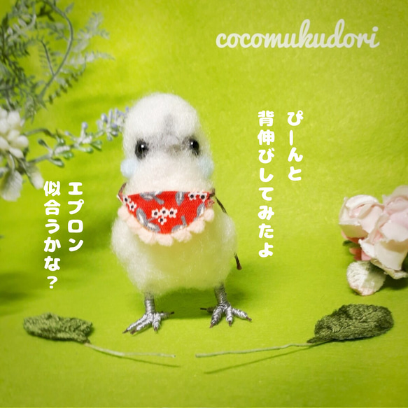 羊毛フェルト うこっけいちゃん 羊毛フェルト coco-むく鳥 通販