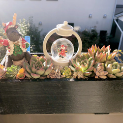 af3b55545634a50949cb44cd7d7bd8