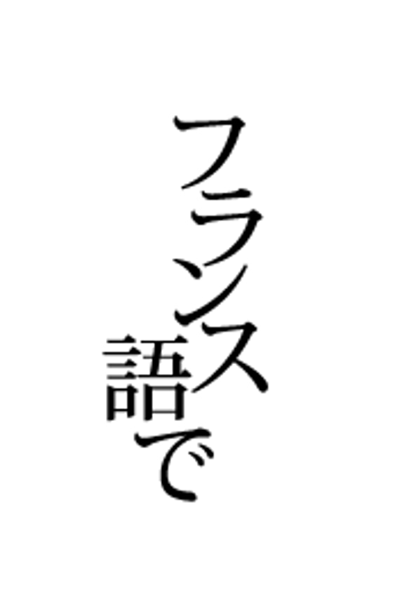 00000000様専用のオーダーページ　切り文字「フランス語で」「虹」イヤリング 1枚目の画像