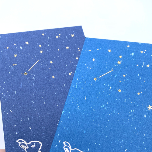 ぽち袋 箔押し 金の落星(おちぼし)とうさぎ 藍・紺 2枚セット 金