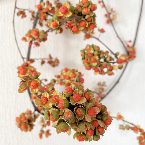 ツルウメモドキリースC ツルウメモドキのリースc リース Rakas 通販 15035887｜Creema(クリーマ)