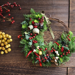 クリスマスローズとグリーンの大人色リース✳︎ドライフラワー◎25