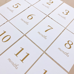 Simple ꙳ 選べるカラー 月齢カード ♡ 15枚 set 5枚目の画像