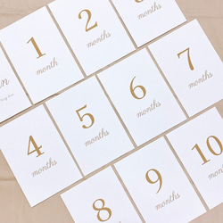 Simple ꙳ 選べるカラー 月齢カード ♡ 15枚 set 4枚目の画像