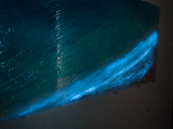 youtatsu様専用　アートパネル エメラルドグリーン&ブルーの海天国に一番近い島 小魚と光るビーチ120×60 7枚目の画像